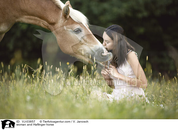 Frau und Haflinger / woman and Haflinger horse / VJ-03857