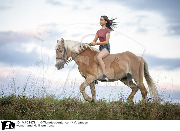 woman and Haflinger horse / VJ-03878