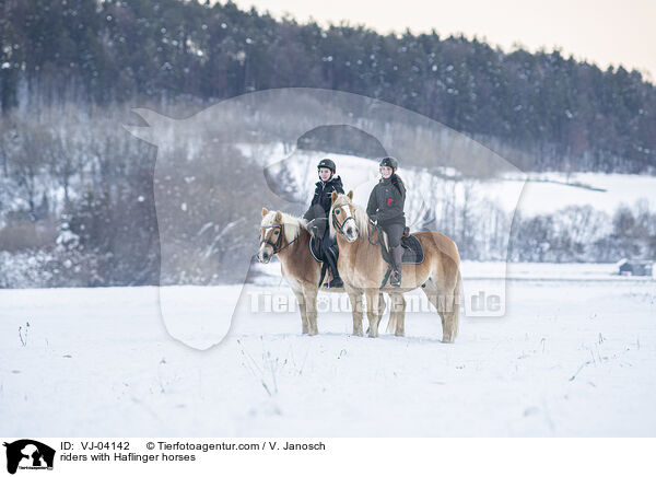 Reiter mit Haflingern / riders with Haflinger horses / VJ-04142