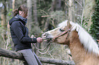 woman and haflinger horse