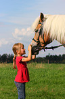 girl with Haflinger horse