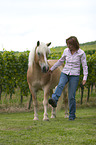 woman with Haflinger horse