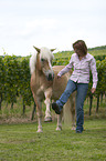 woman with Haflinger horse