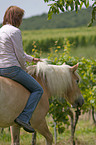 woman with Haflinger horse