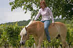 woman with Haflinger horse