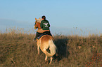 woman rides haflinger horse