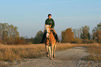 woman rides haflinger horse