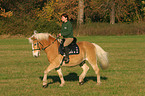 woman rides haflinger horse