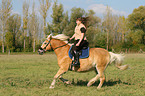 woman rides haflinger horse