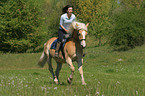 woman rides haflinger horse