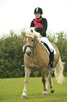 woman rides Haflinger horse