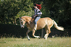 woman rides Haflinger horse