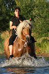 woman rides Haflinger horse