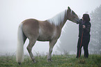 woman with Haflinger horse