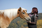 woman with Haflinger horse