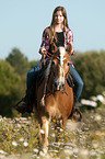 girl rides Haflinger horse