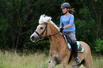 woman rides Haflinger