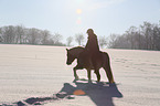 woman rides Haflinger