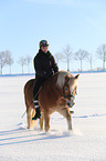 woman rides Haflinger