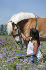 woman with Haflinger