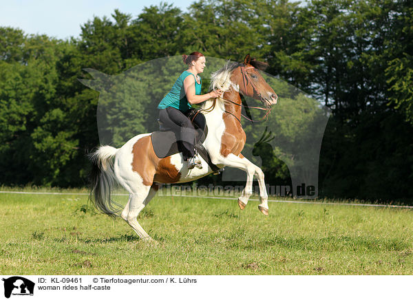 Frau reitet Halbblut / woman rides half-caste / KL-09461