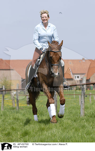 Reiterin auf Hannoveraner / riding woman / AP-02700