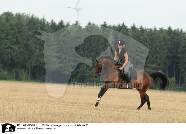 Frau reitet Hannoveraner / woman rides Hannoveraner / AP-05648