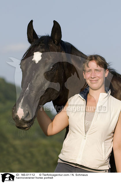 Hannoveraner Portrait / hannoveraner horse portrait / NS-01112
