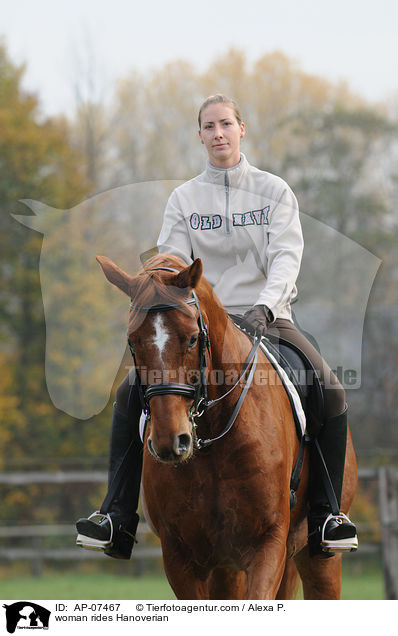 Frau reitet Hannoveraner / woman rides Hanoverian / AP-07467