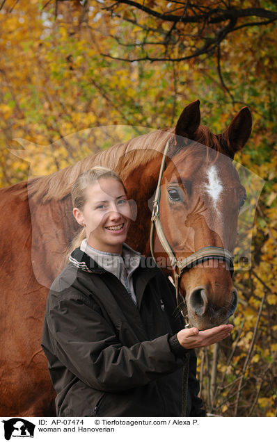 Frau und Hannoveraner / woman and Hanoverian / AP-07474