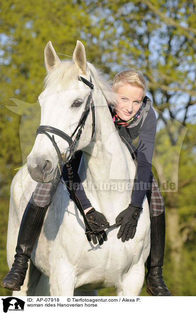 Frau reitet Hannoveraner / woman rides Hanoverian horse / AP-07918