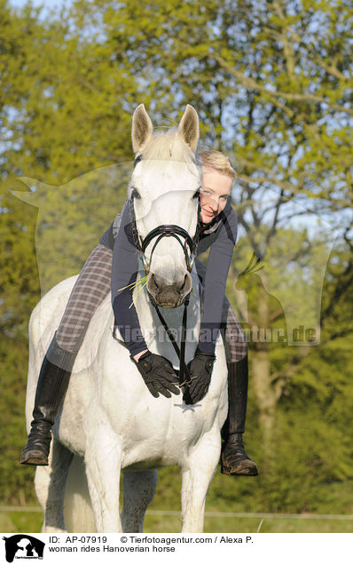 Frau reitet Hannoveraner / woman rides Hanoverian horse / AP-07919