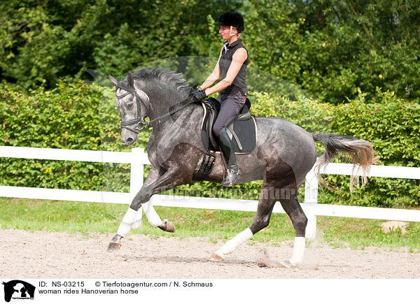 Frau reitet Hannoveraner / woman rides Hanoverian horse / NS-03215