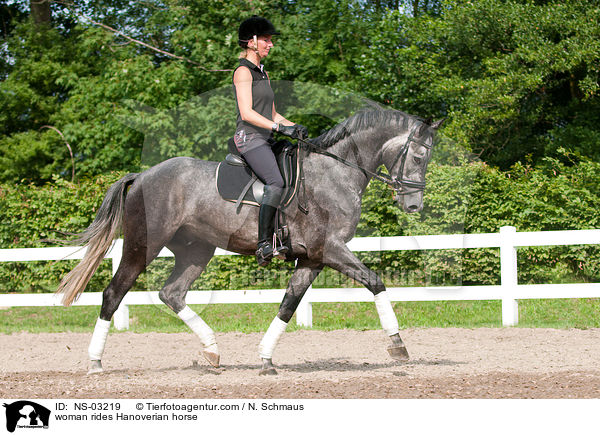 Frau reitet Hannoveraner / woman rides Hanoverian horse / NS-03219