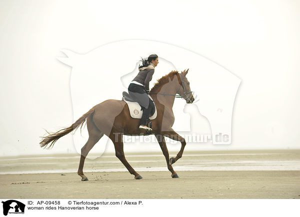 woman rides Hanoverian horse / AP-09458