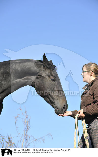 Frau mit Hannoveraner / woman with Hanoverian warmblood / AP-09513