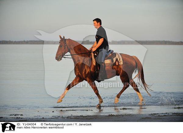 Mann reitet Hannoveraner / man rides Hanoverian warmblood / YJ-04004