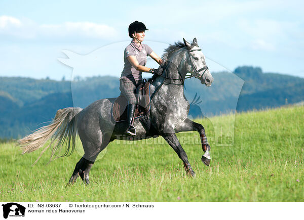 Frau reitet Hannoveraner / woman rides Hanoverian / NS-03637