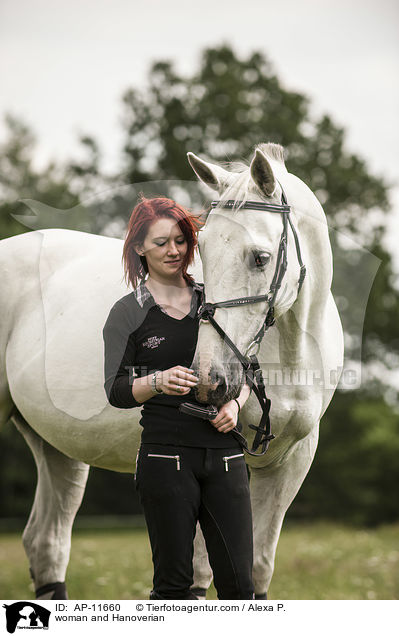 Frau und Hannoveraner / woman and Hanoverian / AP-11660