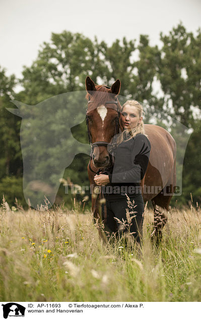 Frau und Hannoveraner / woman and Hanoverian / AP-11693