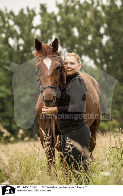 Frau und Hannoveraner / woman and Hanoverian / AP-11696