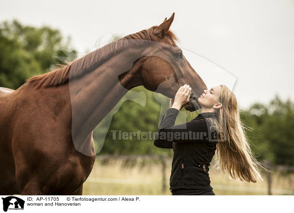 Frau und Hannoveraner / woman and Hanoverian / AP-11705