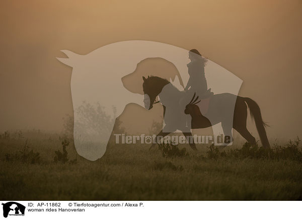 Frau reitet Hannoveraner / woman rides Hanoverian / AP-11862