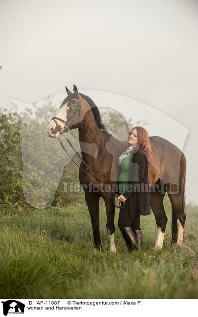 Frau und Hannoveraner / woman and Hanoverian / AP-11887