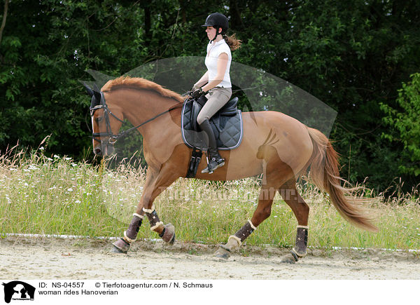 Frau reitet Hannoveraner / woman rides Hanoverian / NS-04557