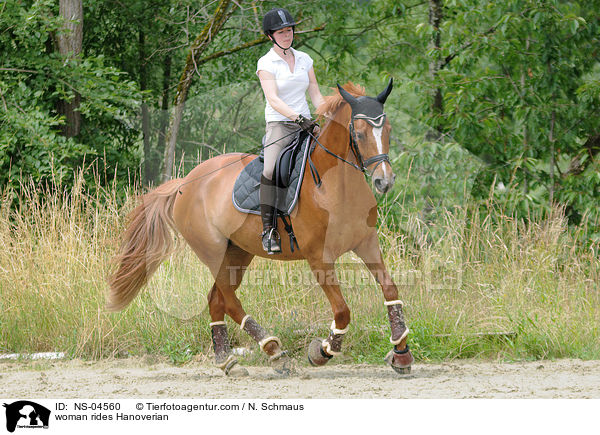 Frau reitet Hannoveraner / woman rides Hanoverian / NS-04560