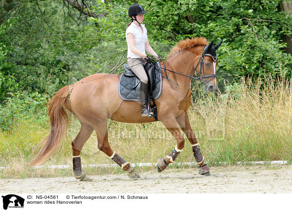 Frau reitet Hannoveraner / woman rides Hanoverian / NS-04561