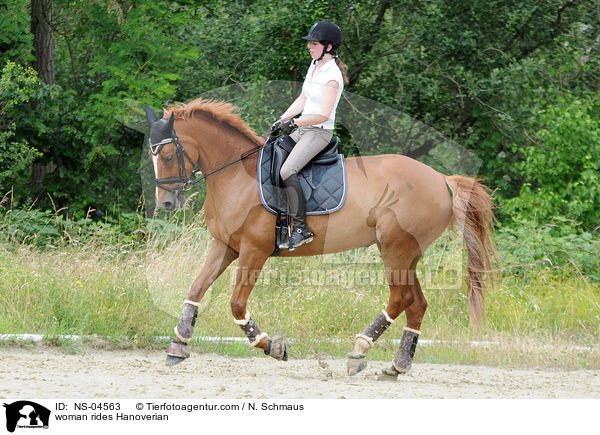 Frau reitet Hannoveraner / woman rides Hanoverian / NS-04563