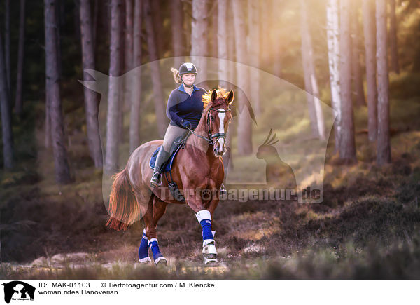 Frau reitet Hannoveraner / woman rides Hanoverian / MAK-01103