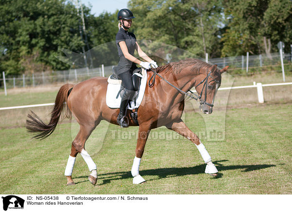 Frau reitet hannoveraner / Woman rides Hanoverian / NS-05438